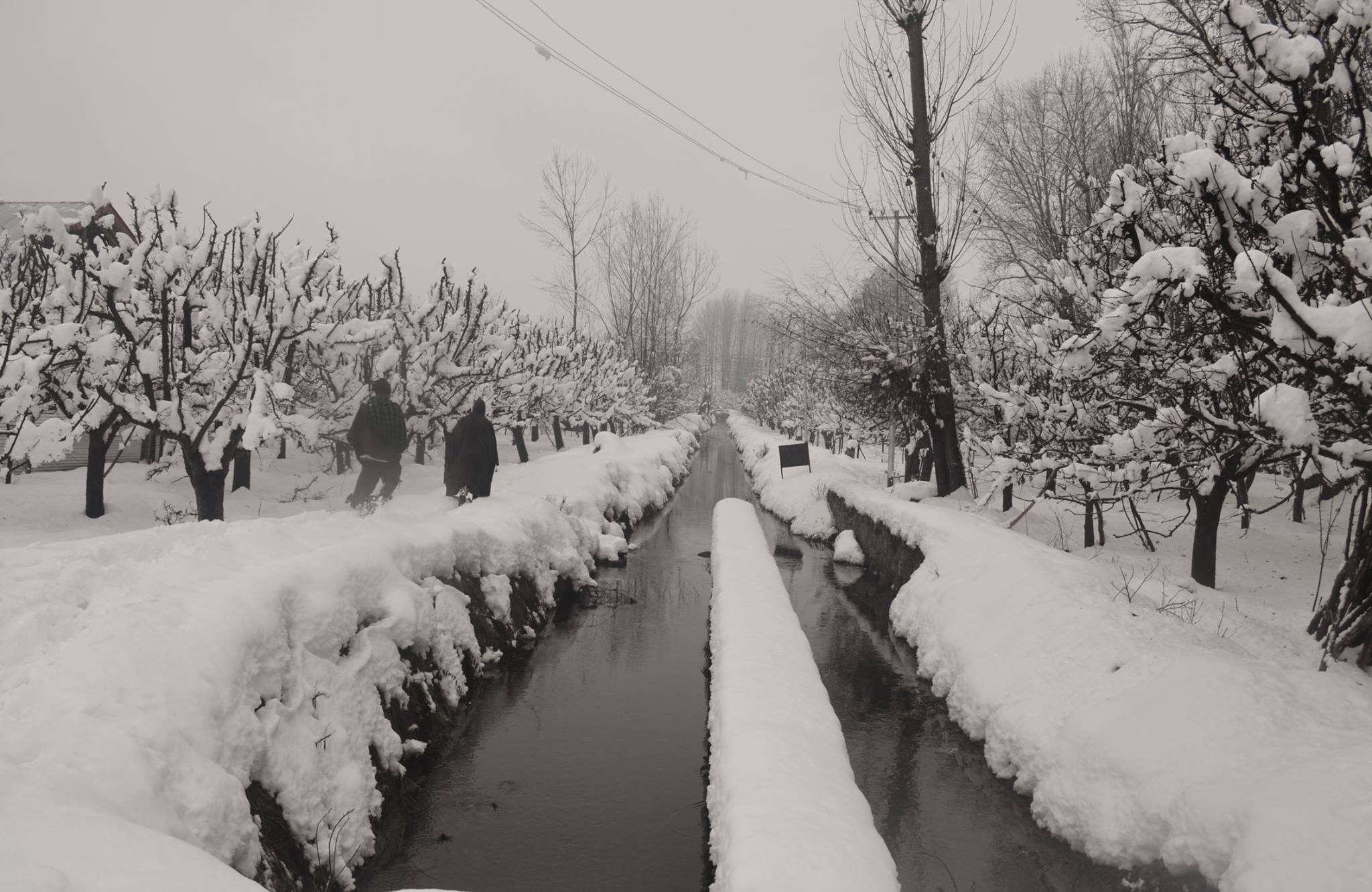 Winter weather in Kashmir