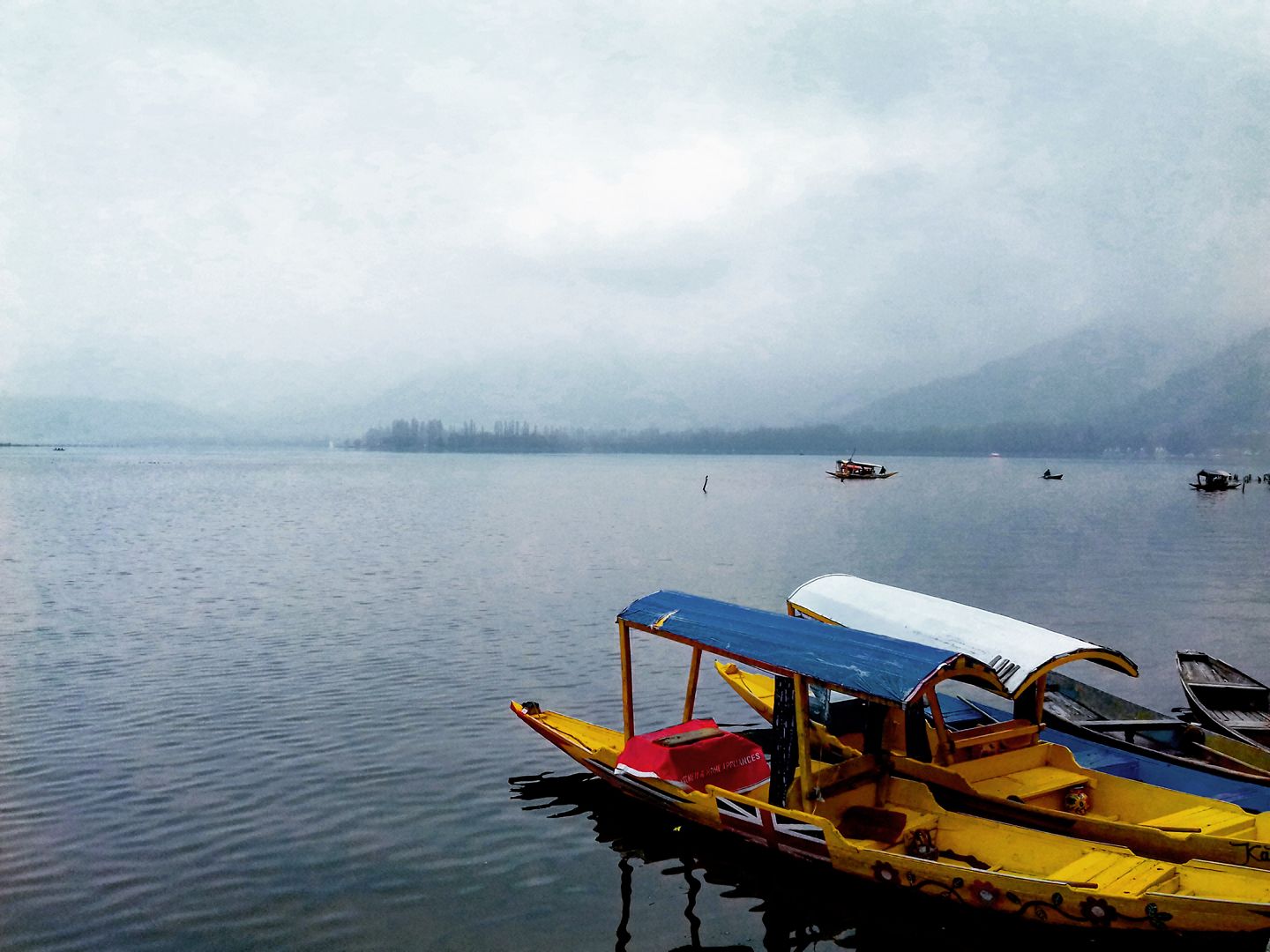 The Degeneration of Dal Lake