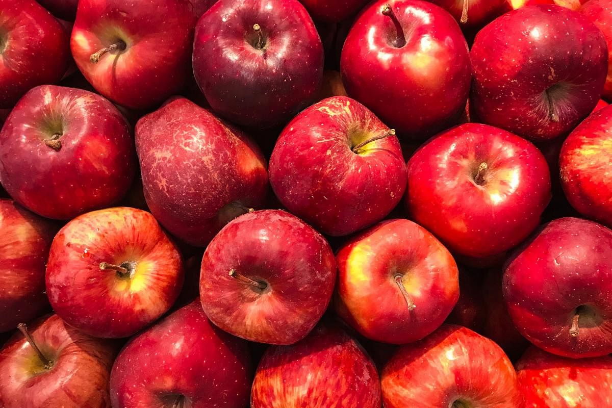 Fresh Apple Fruit, Indian